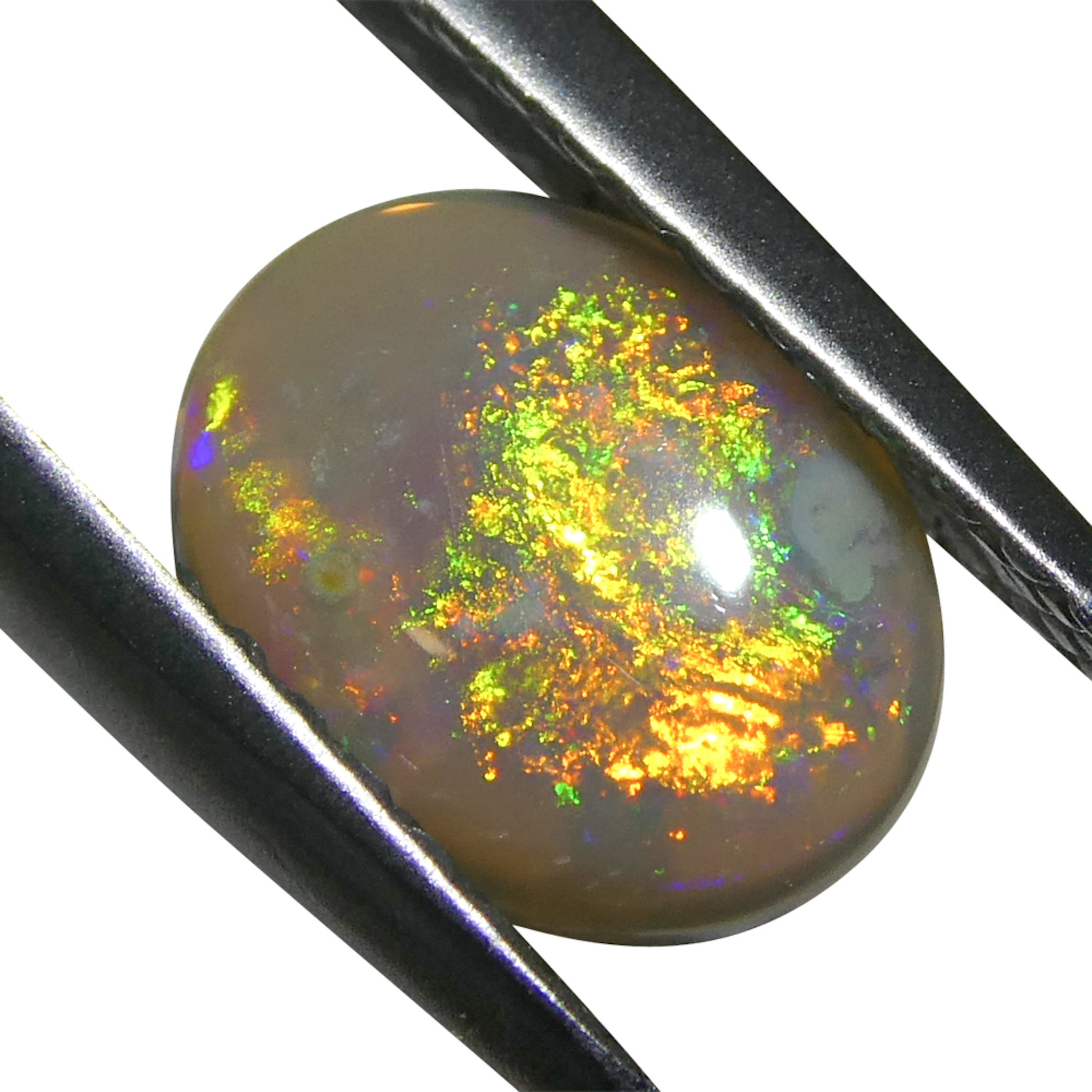 0.72ct Gray Australian Opal Cabochon with Play of Color | Premium Gemstone by SkyJems