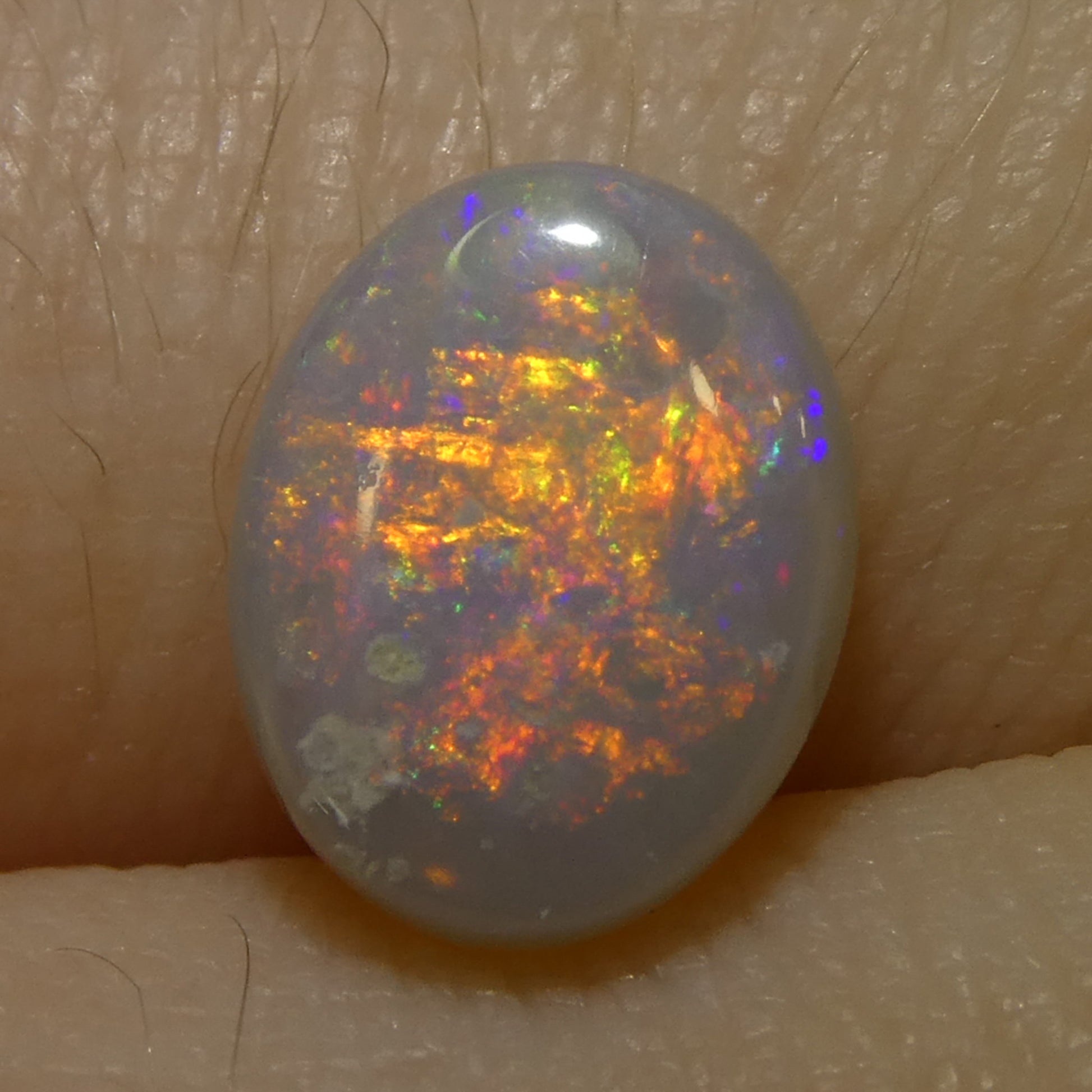 1.36ct Oval Cabochon Gray Opal from Australia - Skyjems Wholesale Gemstones