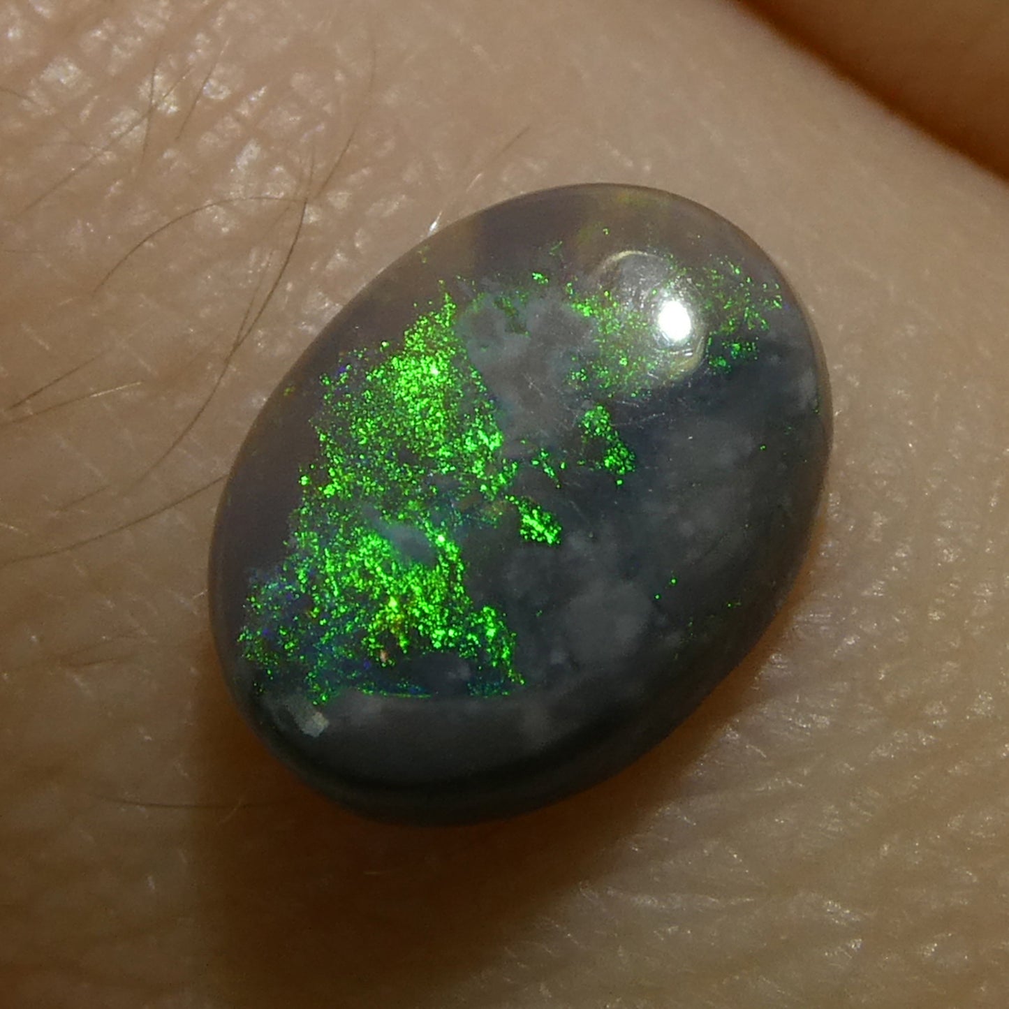 0.8ct Oval Cabochon Gray Opal from Australia - Skyjems Wholesale Gemstones