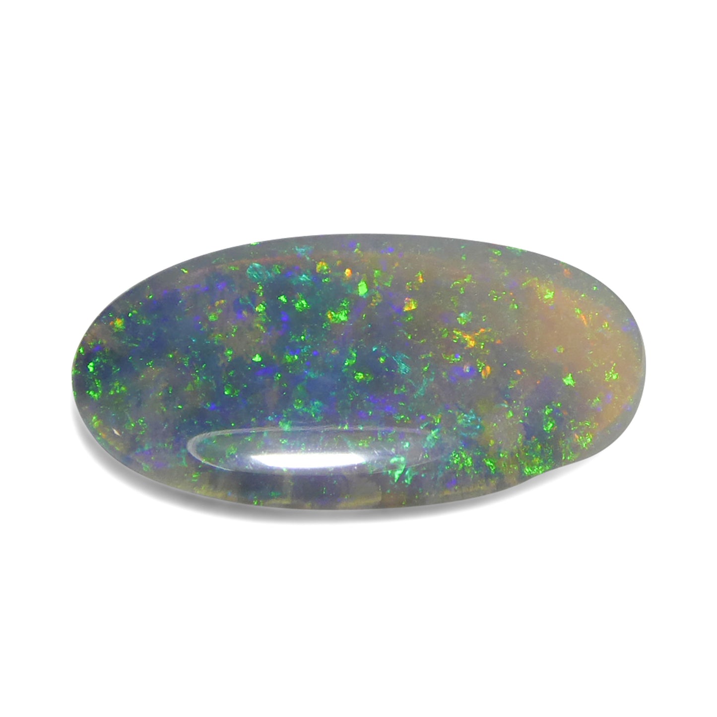 Opal 1.5 cts 14.92 x 7.85 x 1.86 mm Oval White  $200