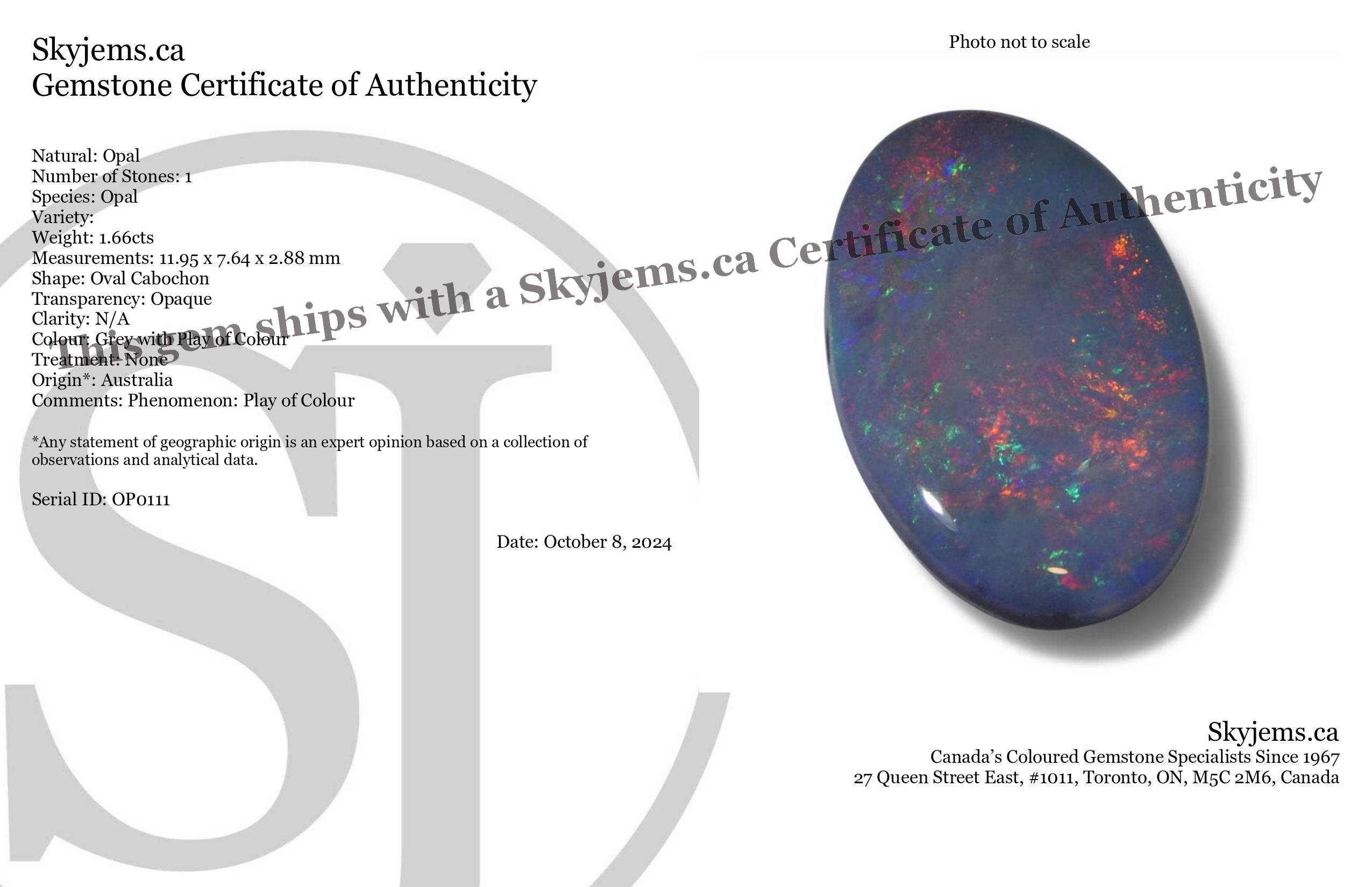 1.66ct Grey Australian Opal Cabochon with Play of Colour from SkyJems' Rare Gemstone Collection