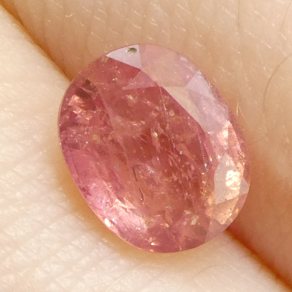 1.43ct Unheated Oval Orangy-Pink Padparadscha Sapphire from Tanzania, Unheated - Skyjems Wholesale Gemstones