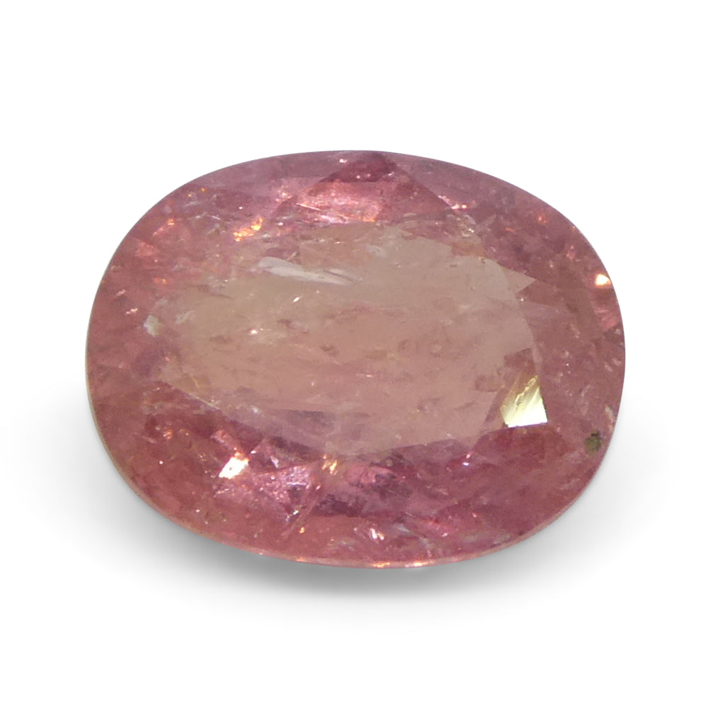 1.43ct Unheated Oval Orangy-Pink Padparadscha Sapphire from Tanzania, Unheated - Skyjems Wholesale Gemstones