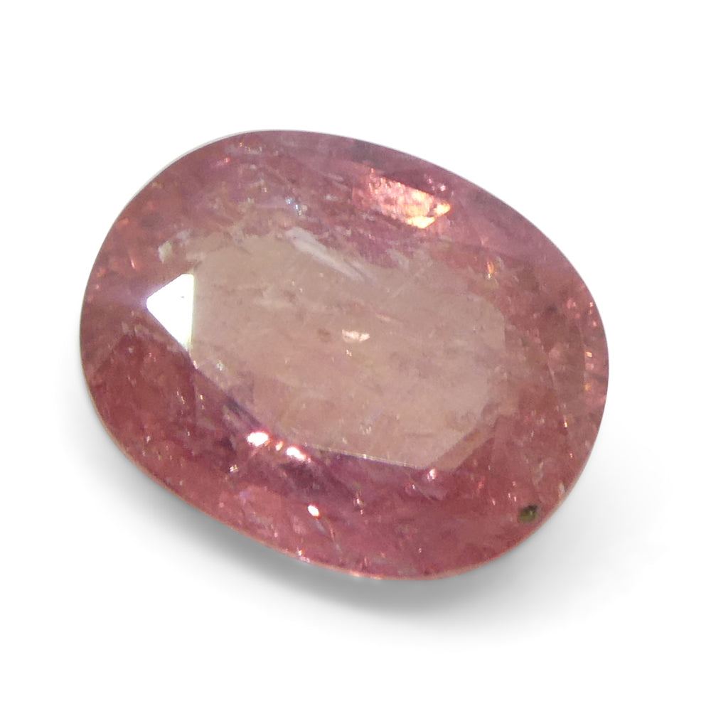 1.43ct Unheated Oval Orangy-Pink Padparadscha Sapphire from Tanzania, Unheated - Skyjems Wholesale Gemstones