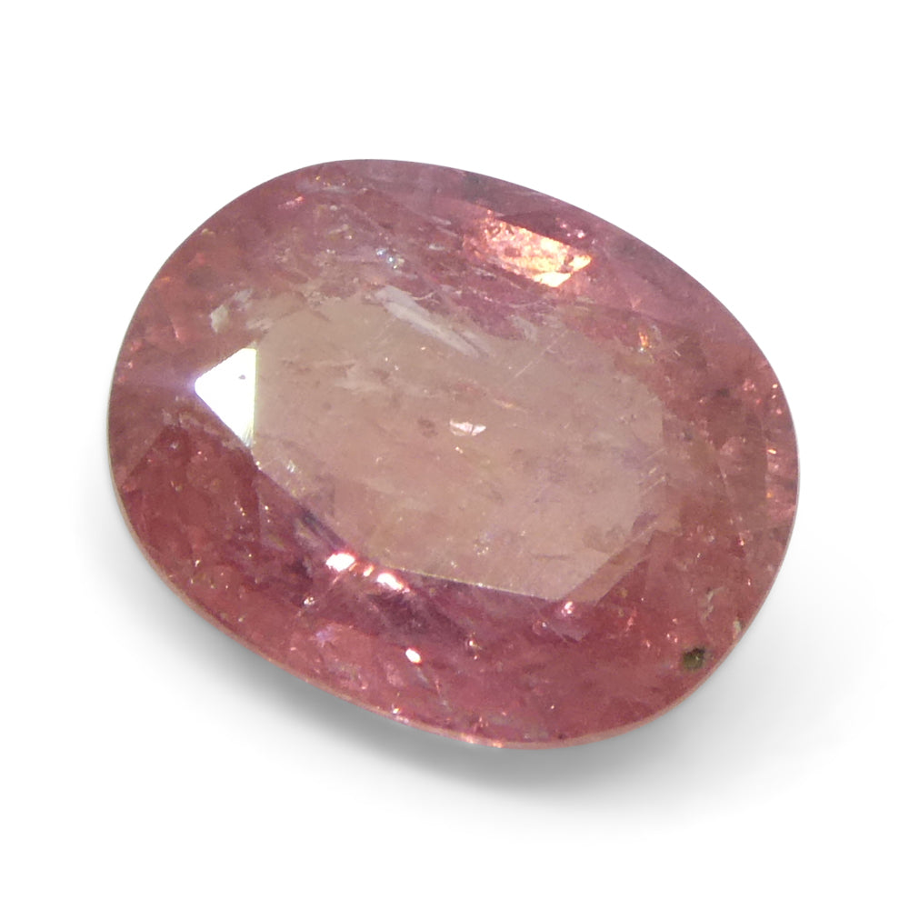 1.43ct Unheated Oval Orangy-Pink Padparadscha Sapphire from Tanzania, Unheated - Skyjems Wholesale Gemstones