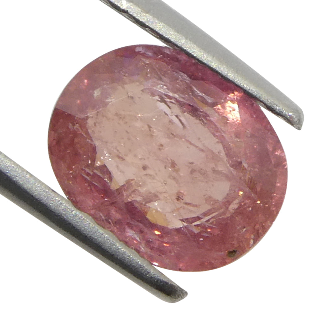 1.43ct Unheated Oval Orangy-Pink Padparadscha Sapphire from Tanzania, Unheated - Skyjems Wholesale Gemstones