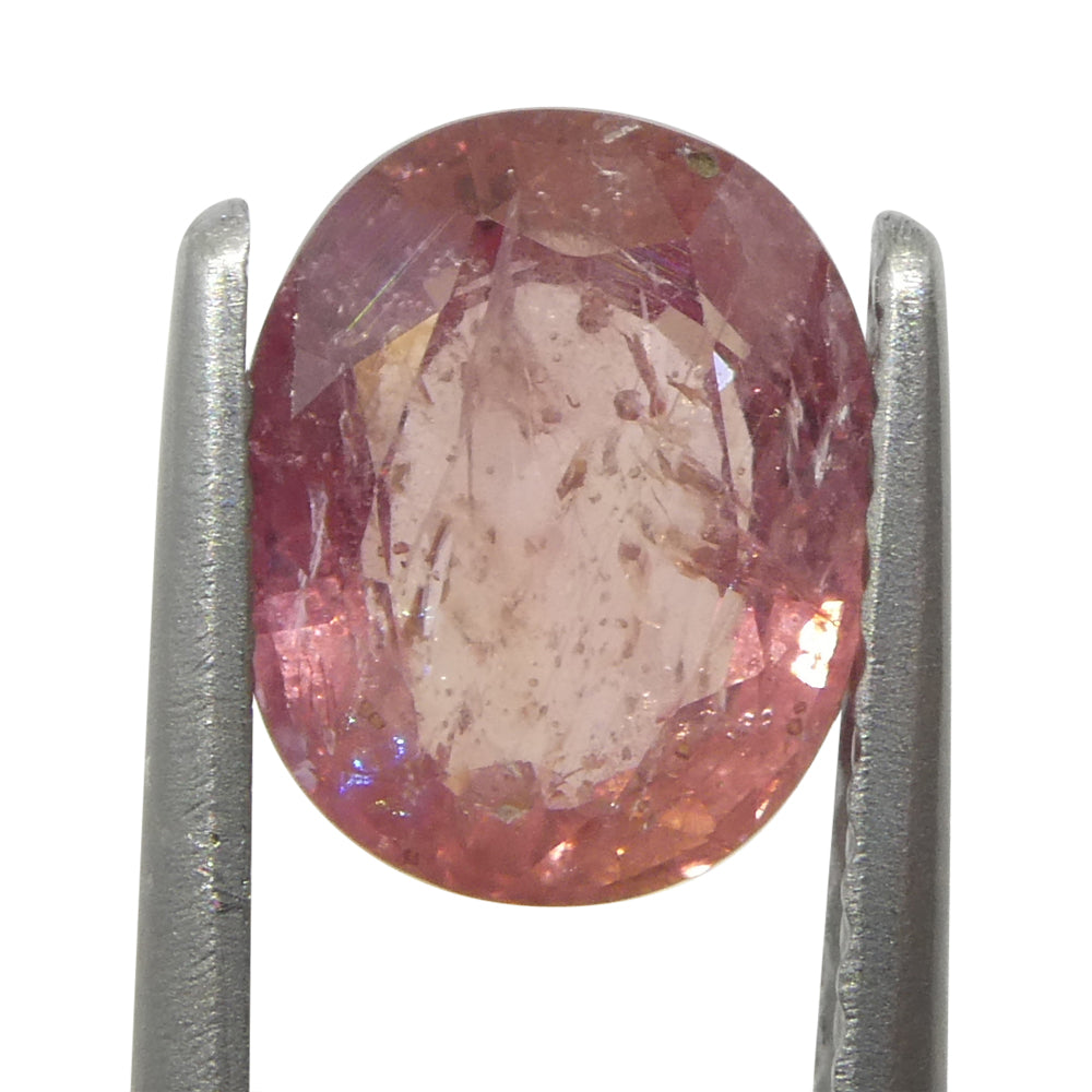 1.43ct Unheated Oval Orangy-Pink Padparadscha Sapphire from Tanzania, Unheated - Skyjems Wholesale Gemstones