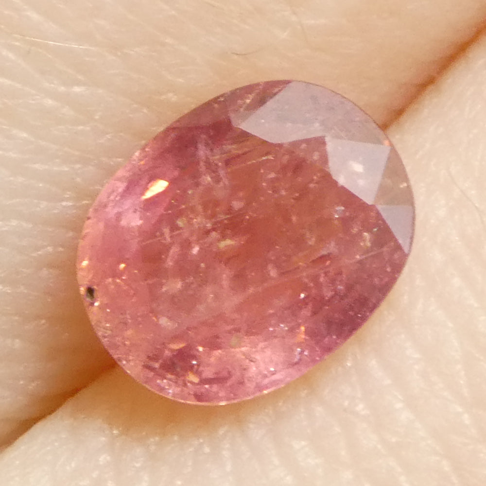 1.43ct Unheated Oval Orangy-Pink Padparadscha Sapphire from Tanzania, Unheated - Skyjems Wholesale Gemstones