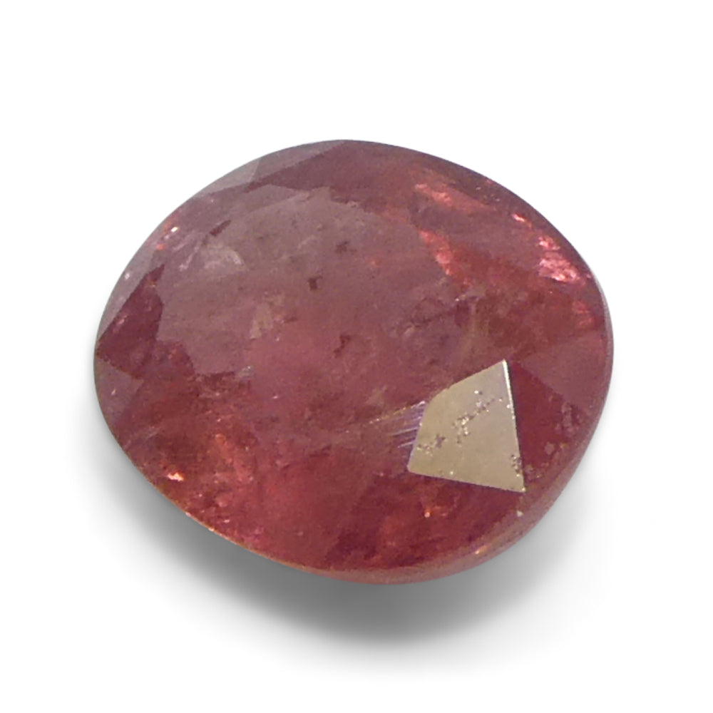 1.31ct Oval Orangy-Pink Padparadscha Sapphire from Tanzania - Skyjems Wholesale Gemstones