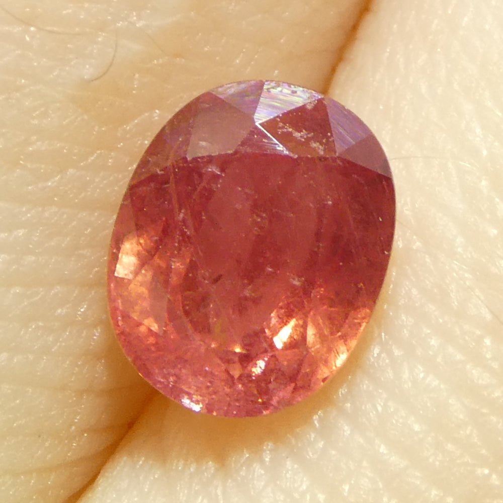 1.31ct Oval Orangy-Pink Padparadscha Sapphire from Tanzania - Skyjems Wholesale Gemstones