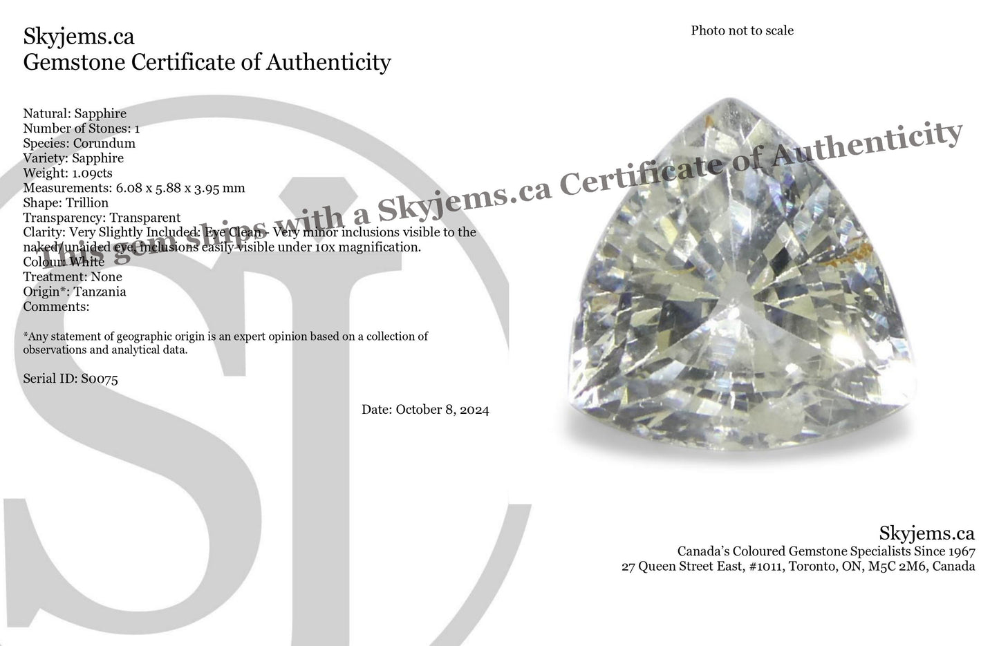 1.09ct Trillion White Sapphire from Tanzania, Unheated