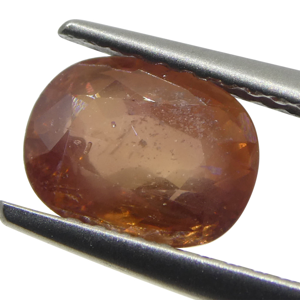 1.67ct Tanzanian Orange Sapphire, cushion-cut, warm reddish hue | Premium loose gemstone by SkyJems Canadian gem specialists