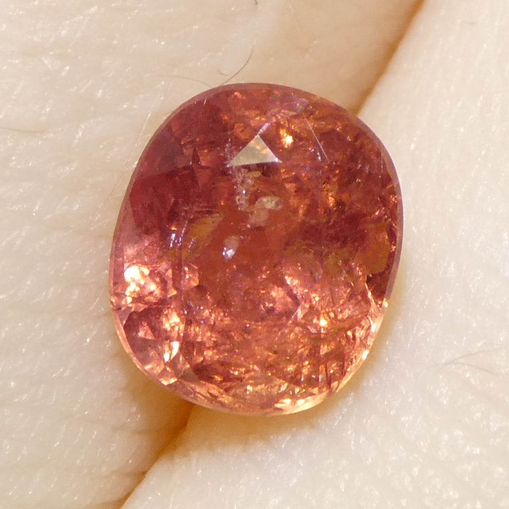 1.31ct Cushion Orangy-Pink Padparadscha Sapphire from Tanzania - Skyjems Wholesale Gemstones