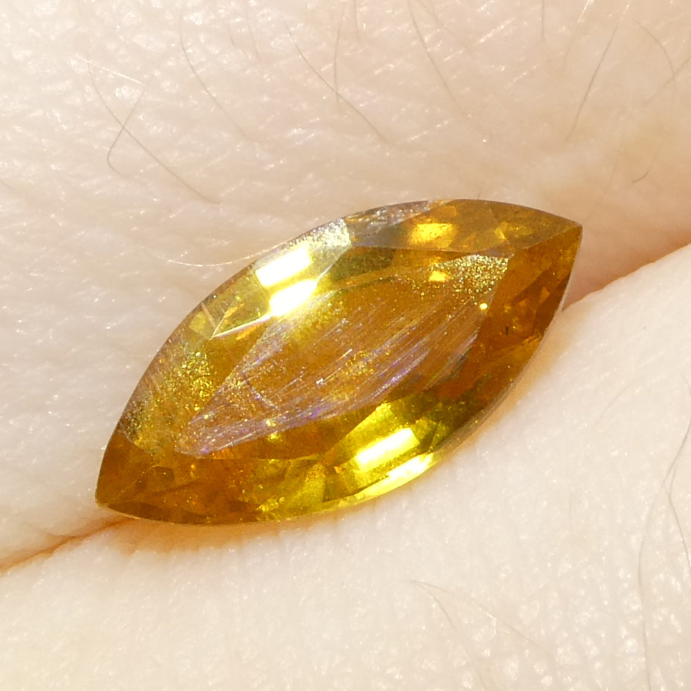 1.6ct Marquise Yellow Sapphire from Tanzania Unheated - Skyjems Wholesale Gemstones