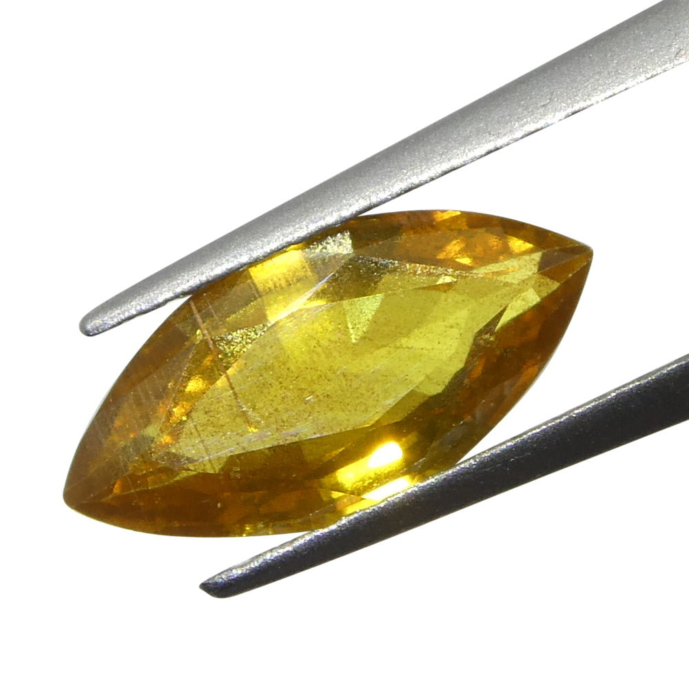 1.6ct Marquise Yellow Sapphire from Tanzania Unheated - Skyjems Wholesale Gemstones