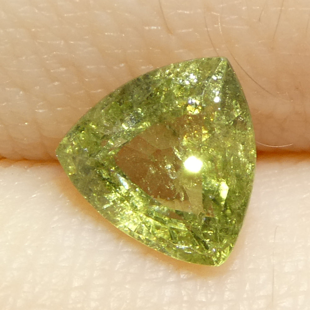 1.41ct Trillion Green Sapphire from Tanzania Unheated - Skyjems Wholesale Gemstones