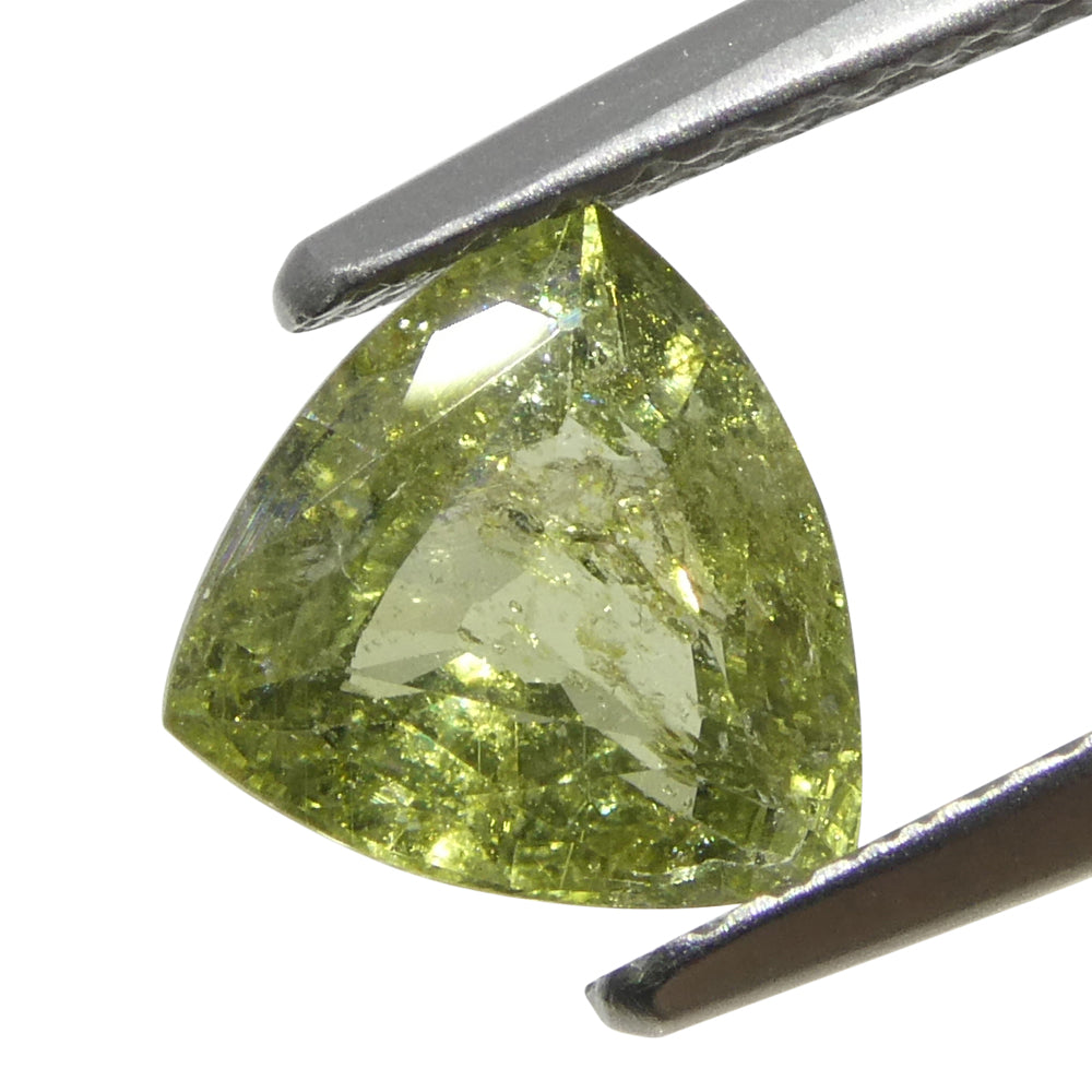 1.41ct Trillion Green Sapphire from Tanzania Unheated - Skyjems Wholesale Gemstones