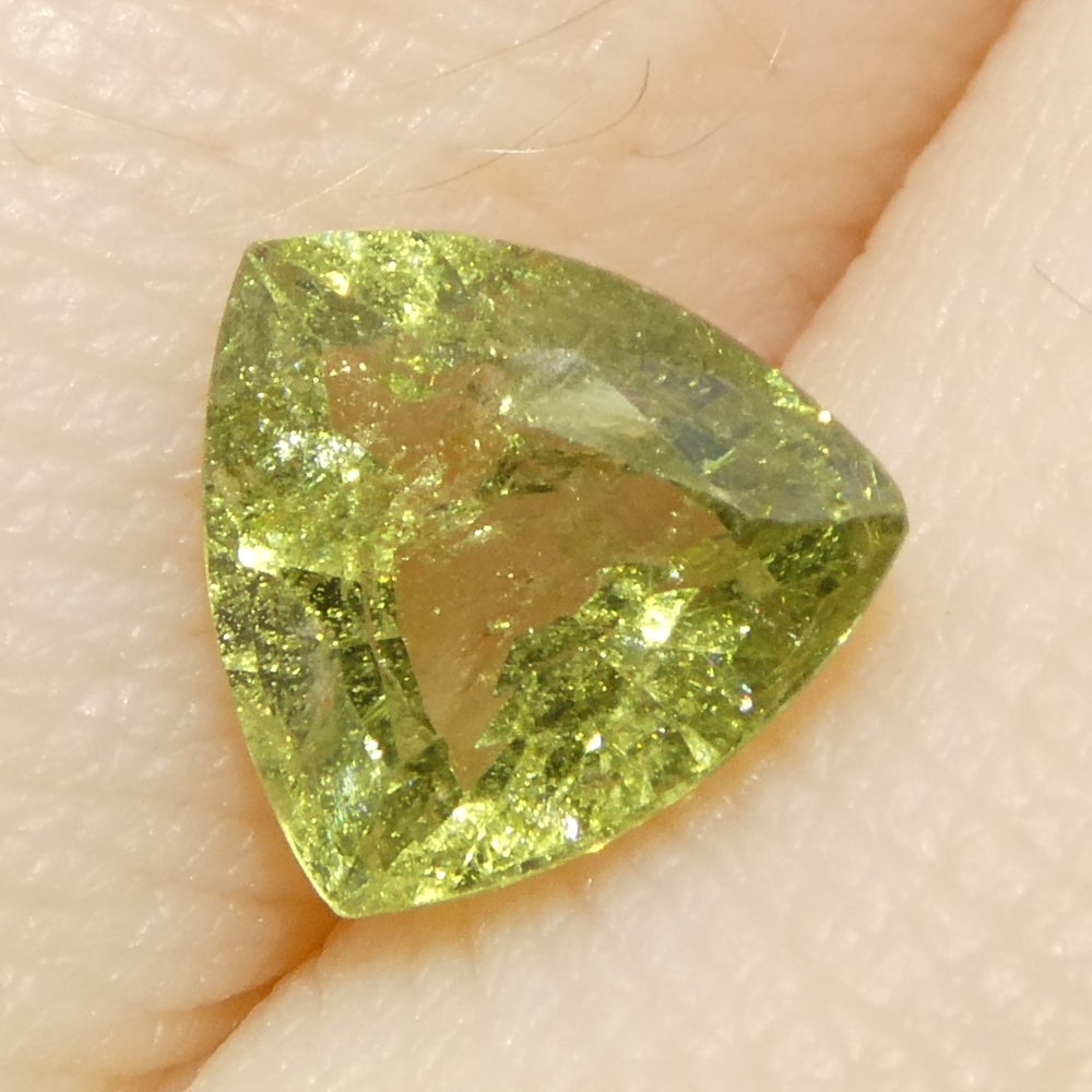 1.41ct Trillion Green Sapphire from Tanzania Unheated - Skyjems Wholesale Gemstones