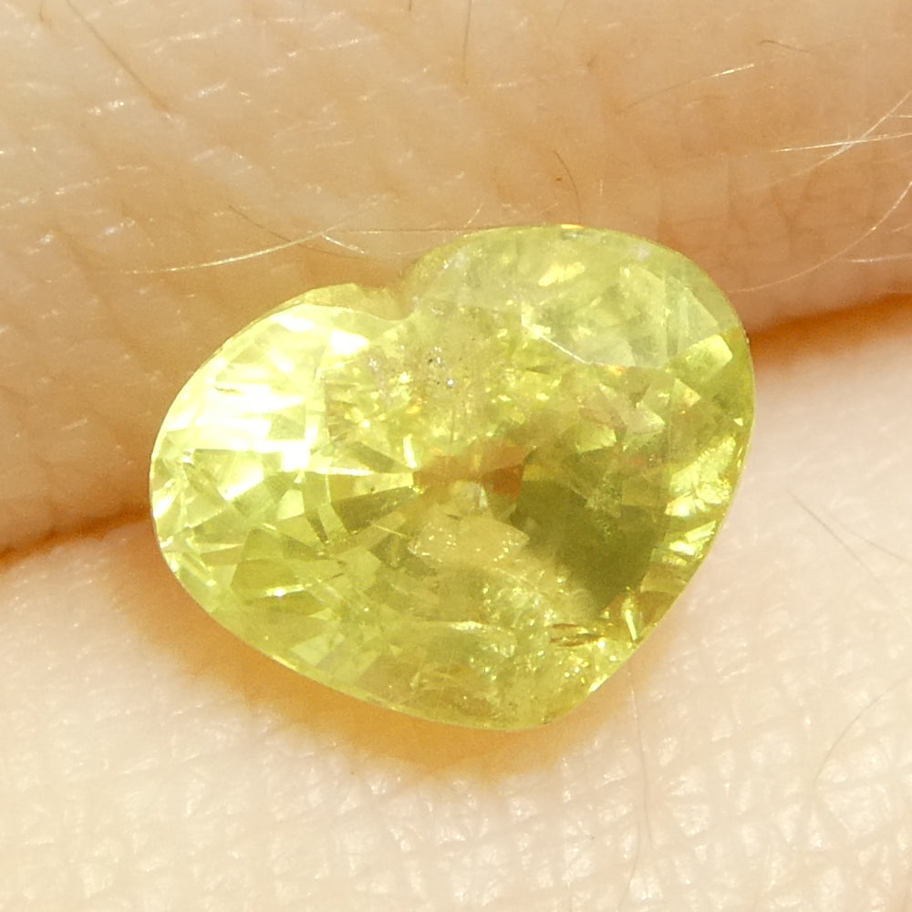 1.5ct Heart Yellow Sapphire from Tanzania Unheated - Skyjems Wholesale Gemstones