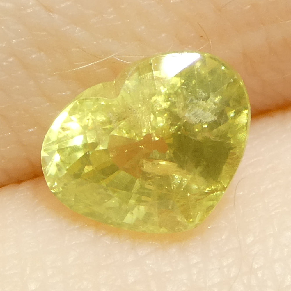 1.5ct Heart Yellow Sapphire from Tanzania Unheated - Skyjems Wholesale Gemstones