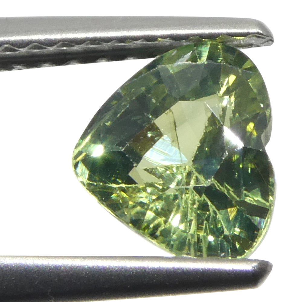 1.27ct Heart Green Sapphire from Sri Lanka - Skyjems Wholesale Gemstones