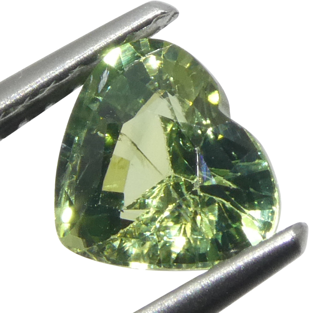 1.27ct Heart Green Sapphire from Sri Lanka - Skyjems Wholesale Gemstones