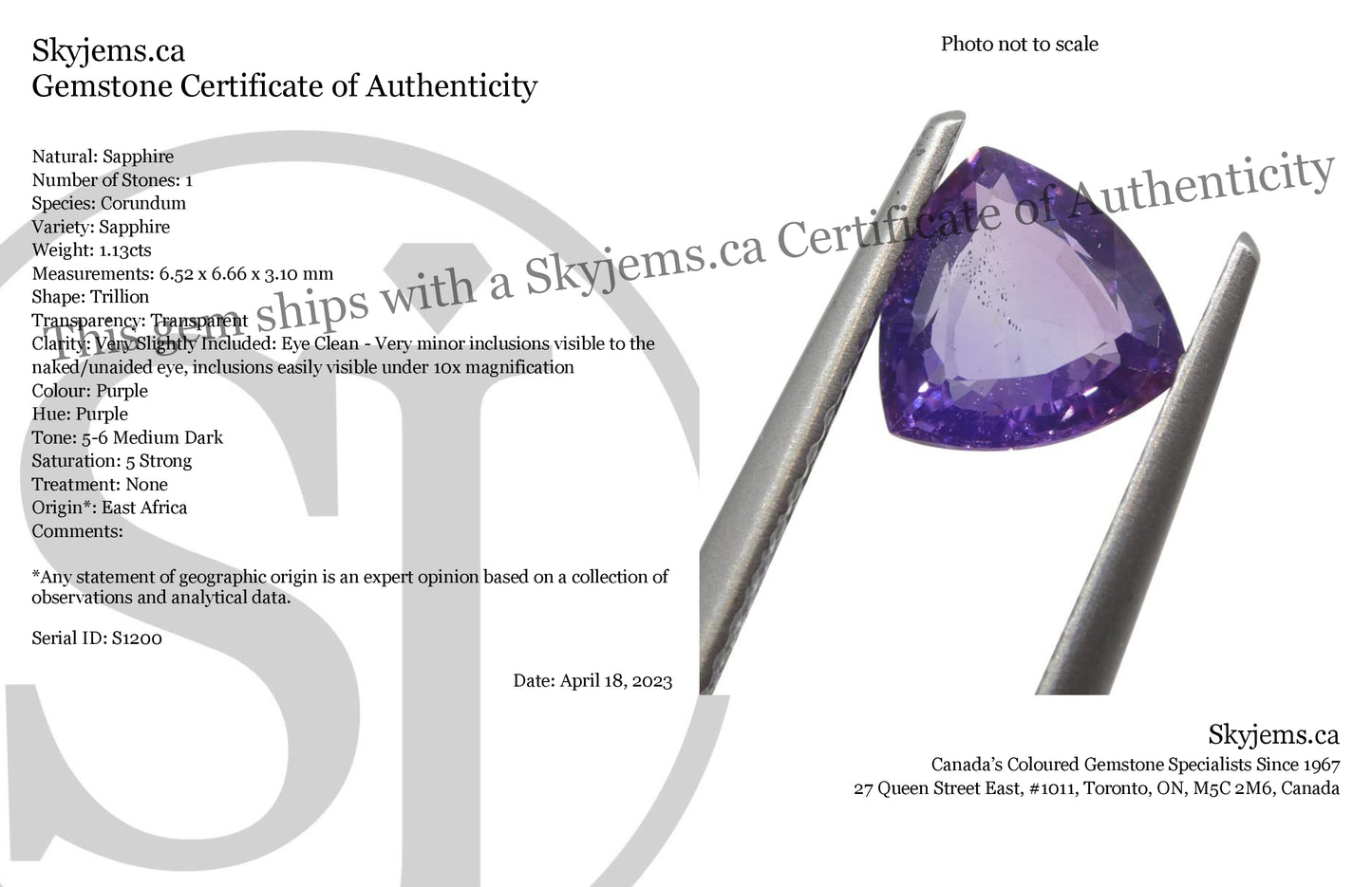 1.13ct Trillion Purple Sapphire from East Africa, Unheated - Skyjems Wholesale Gemstones