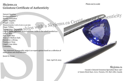 1.09ct Trillion Blue Sapphire from East Africa, Unheated