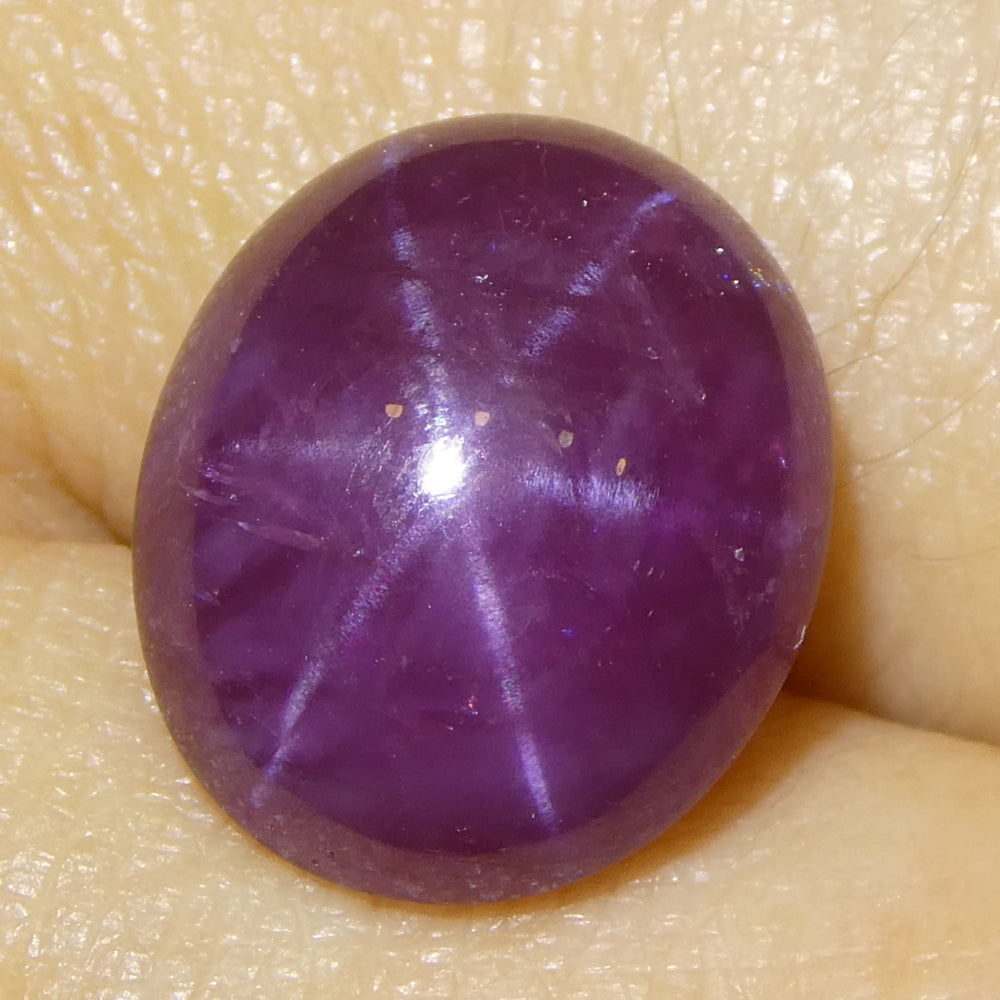 8.61ct Oval Cabochon Purplish Red Star Ruby from Vietnam Unheated - Skyjems Wholesale Gemstones