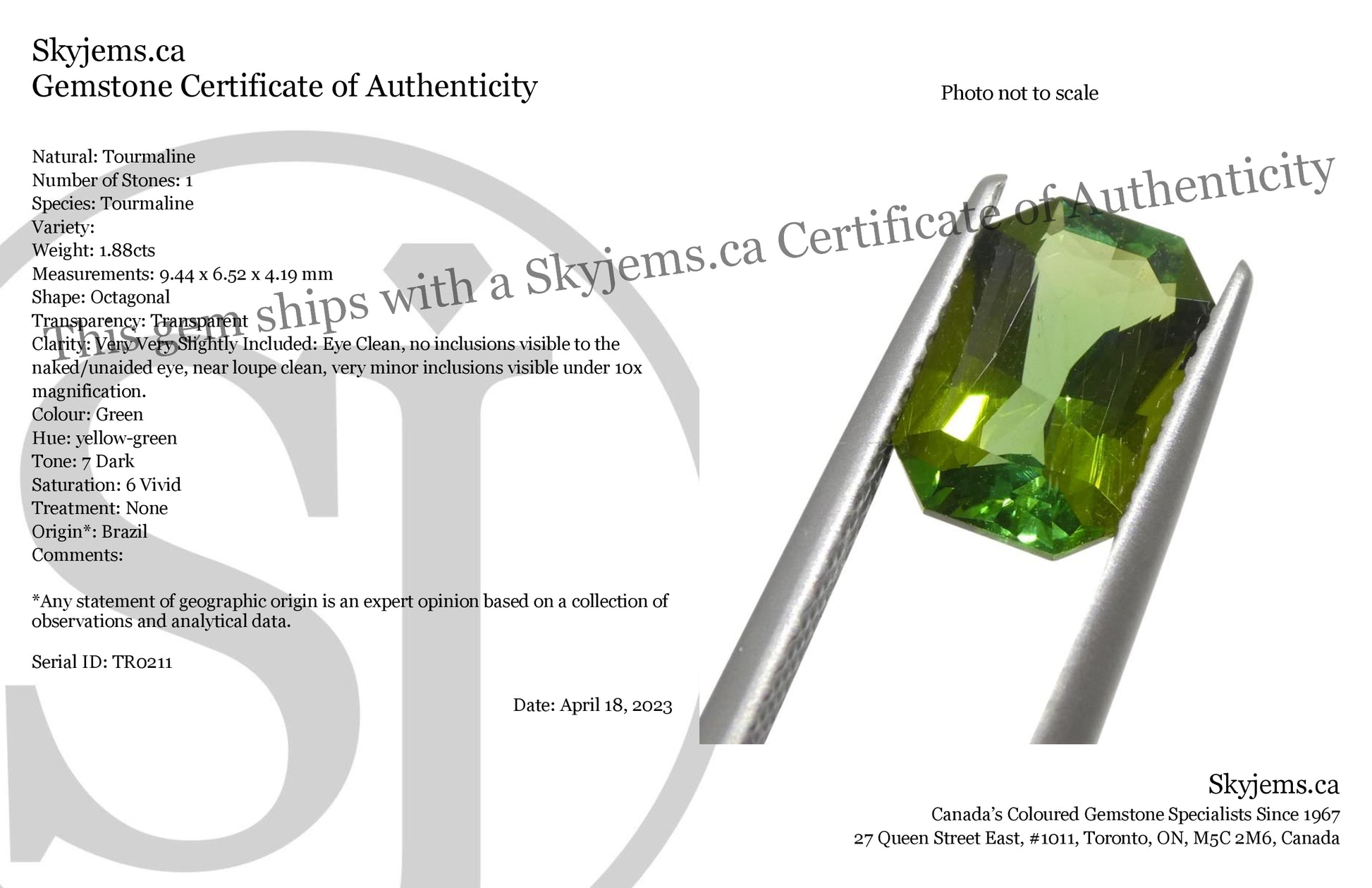 1.88ct Scissor Cut/Octagonal Green Tourmaline from Brazil - Skyjems Wholesale Gemstones