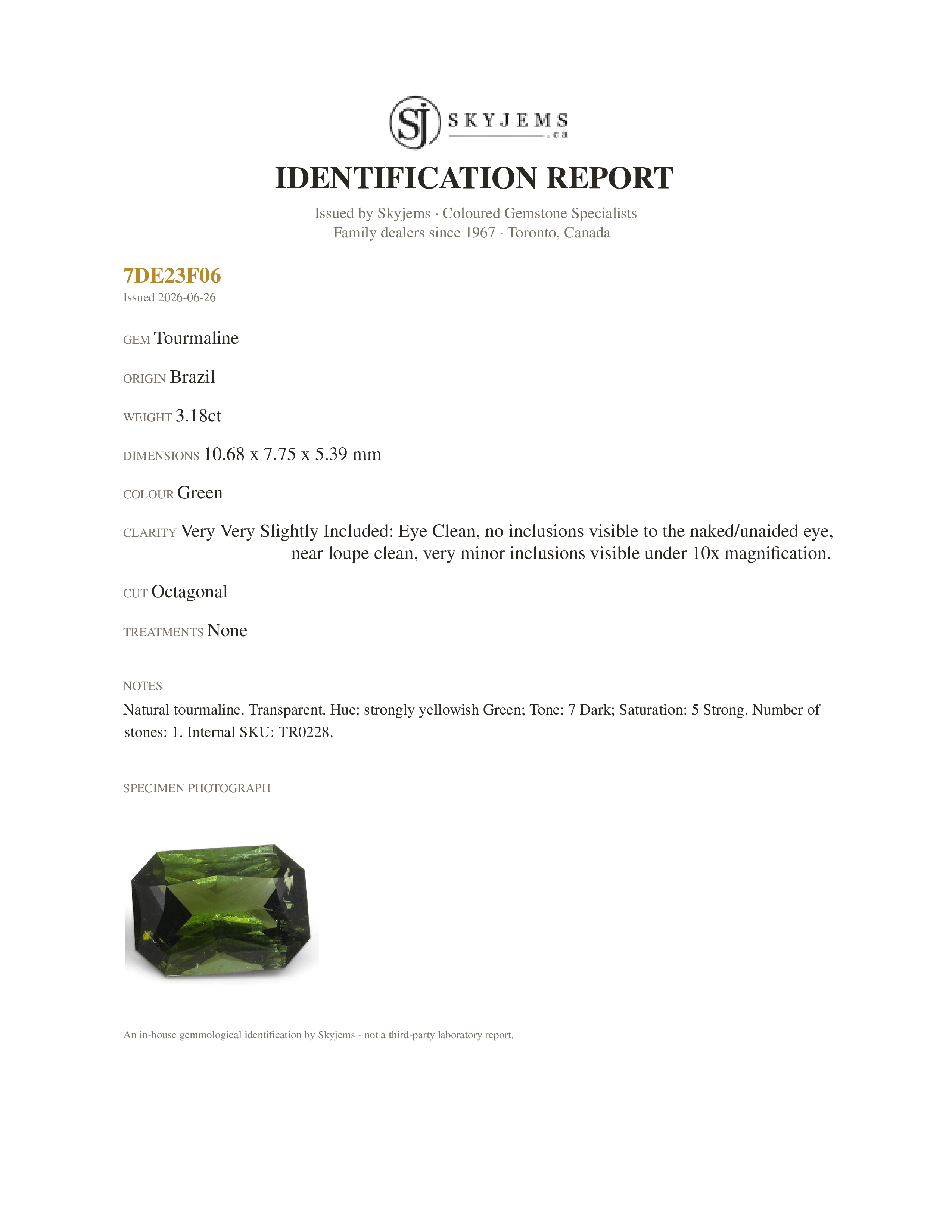 3.18ct Scissor Cut/Octagonal Green Tourmaline