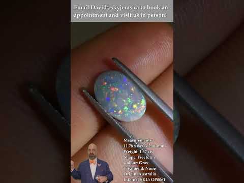 1.37ct N8 Oval Gray Opal from Australia
