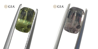 1.6ct Cushion Yellowish Green to Gray-Purple Alexandrite GIA Certified Unheated - Skyjems Wholesale Gemstones