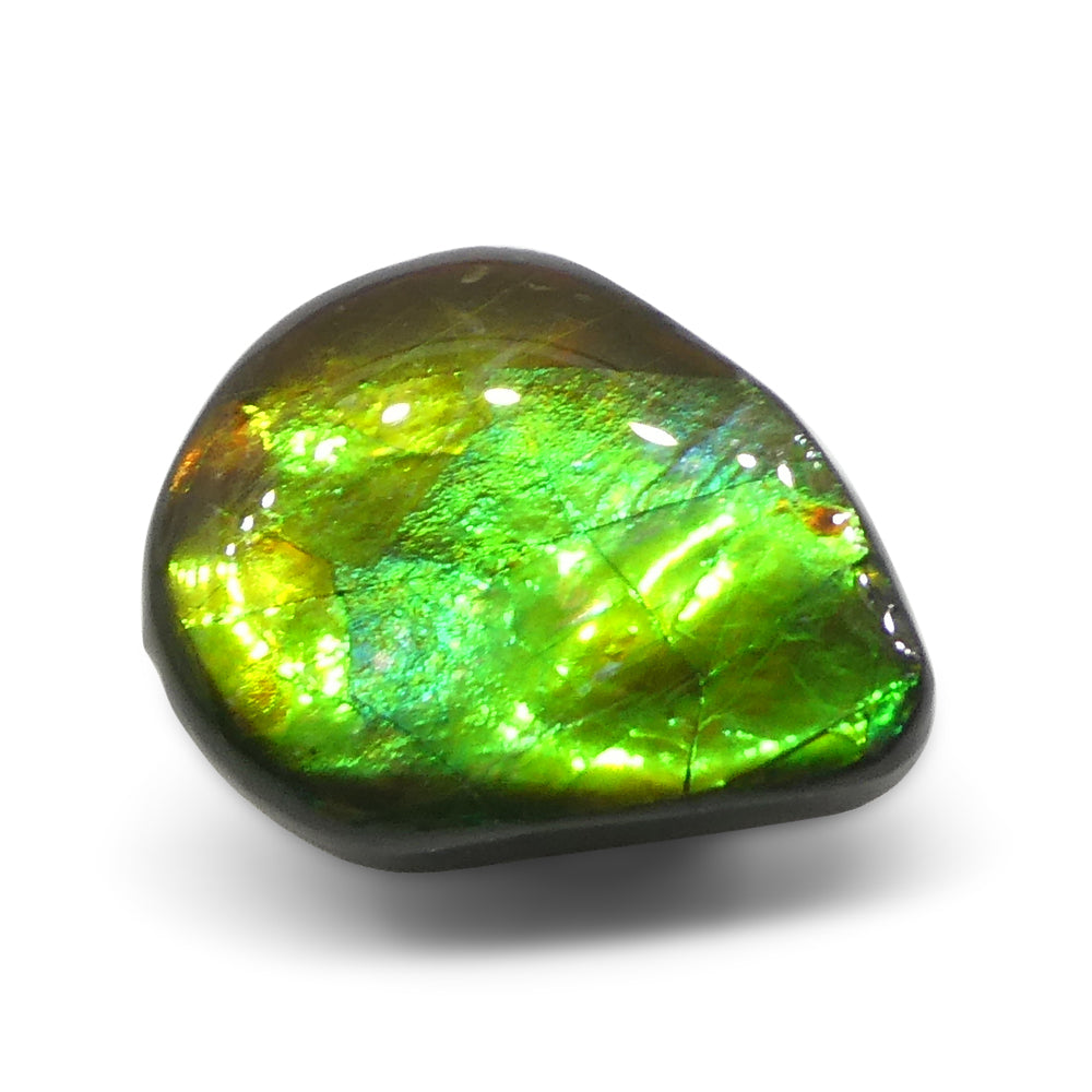 13.65ct Freeform AA 3 Color Orange, Yellow, Green Ammolite from Alberta, Canada - Skyjems Wholesale Gemstones