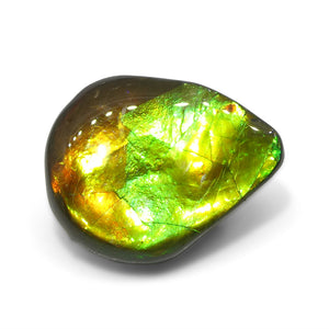 13.65ct Freeform AA 3 Color Orange, Yellow, Green Ammolite from Alberta, Canada - Skyjems Wholesale Gemstones