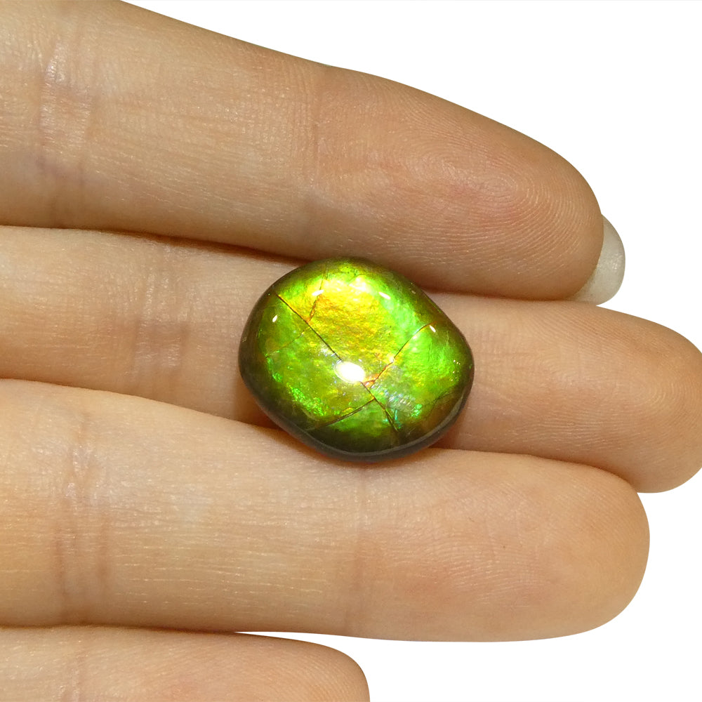 8.49ct Freeform AA 3 Color Orange, Yellow, Green Ammolite from Alberta, Canada - Skyjems Wholesale Gemstones