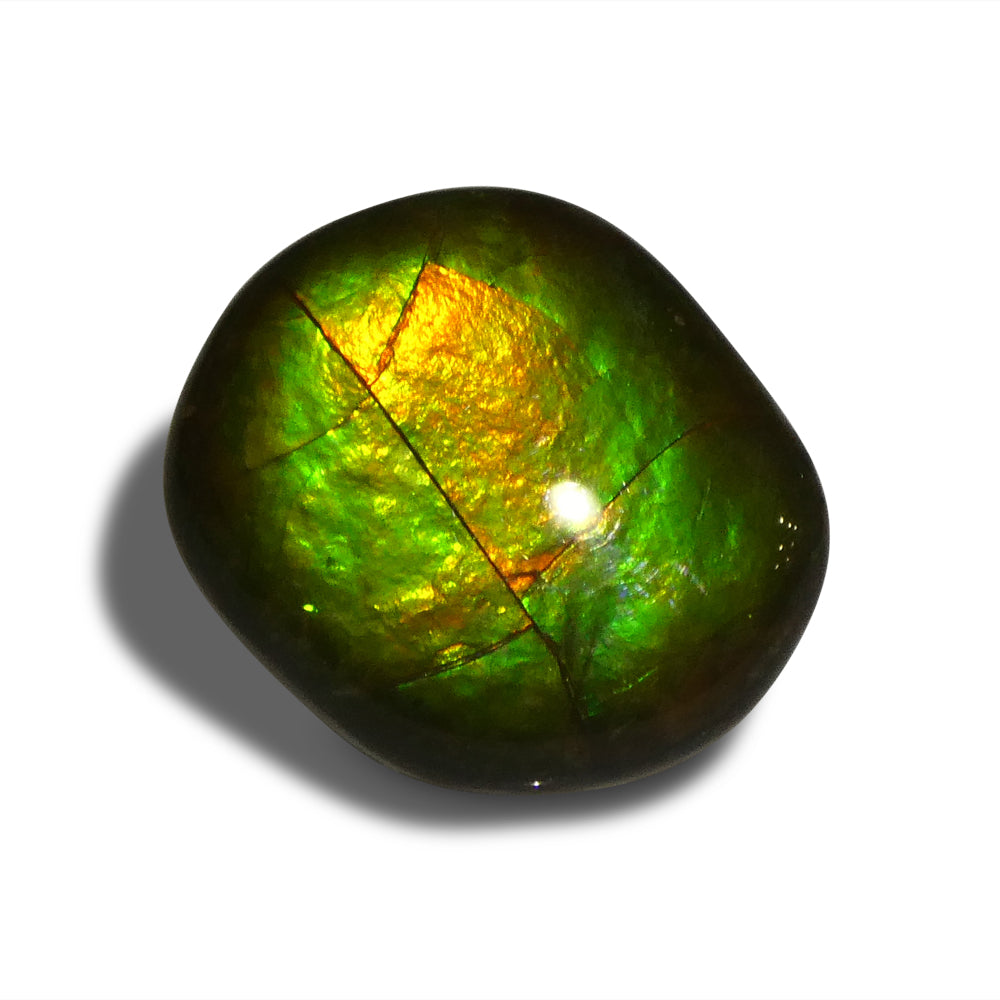 8.49ct Freeform AA 3 Color Orange, Yellow, Green Ammolite from Alberta, Canada - Skyjems Wholesale Gemstones