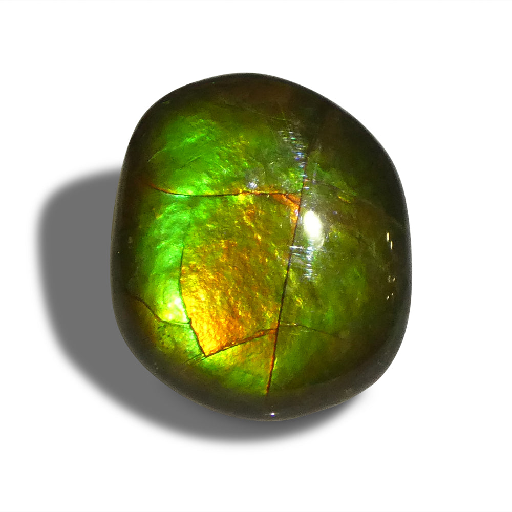 8.49ct Freeform AA 3 Color Orange, Yellow, Green Ammolite from Alberta, Canada - Skyjems Wholesale Gemstones