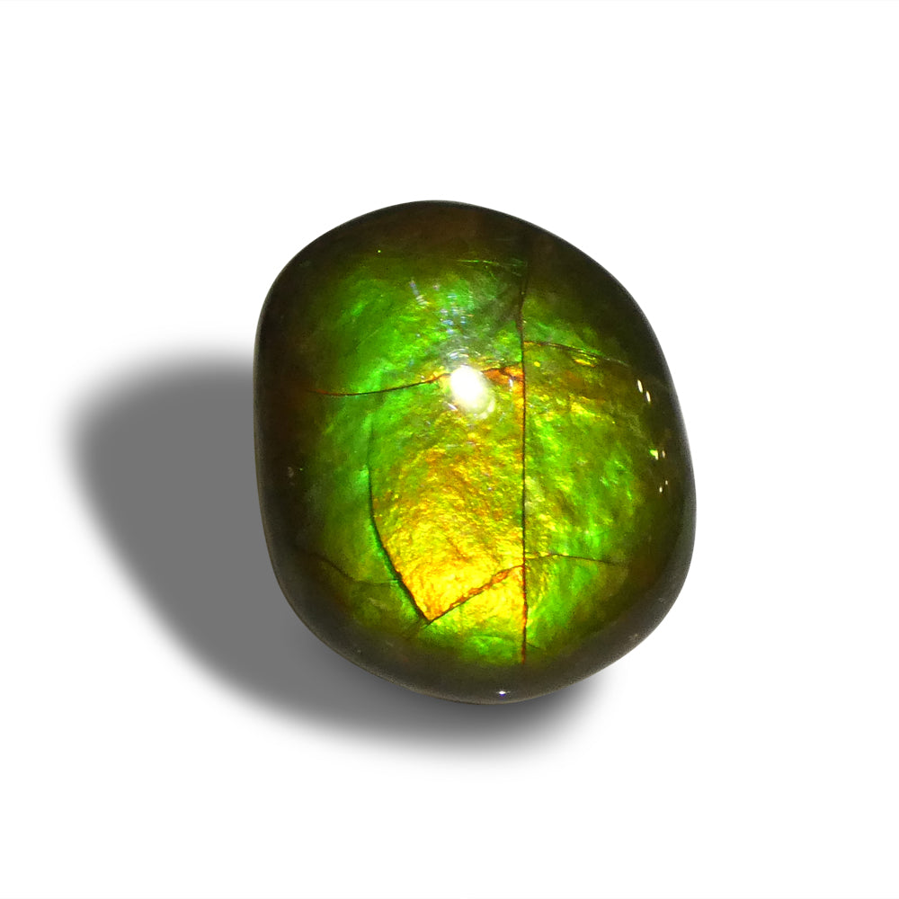 8.49ct Freeform AA 3 Color Orange, Yellow, Green Ammolite from Alberta, Canada - Skyjems Wholesale Gemstones