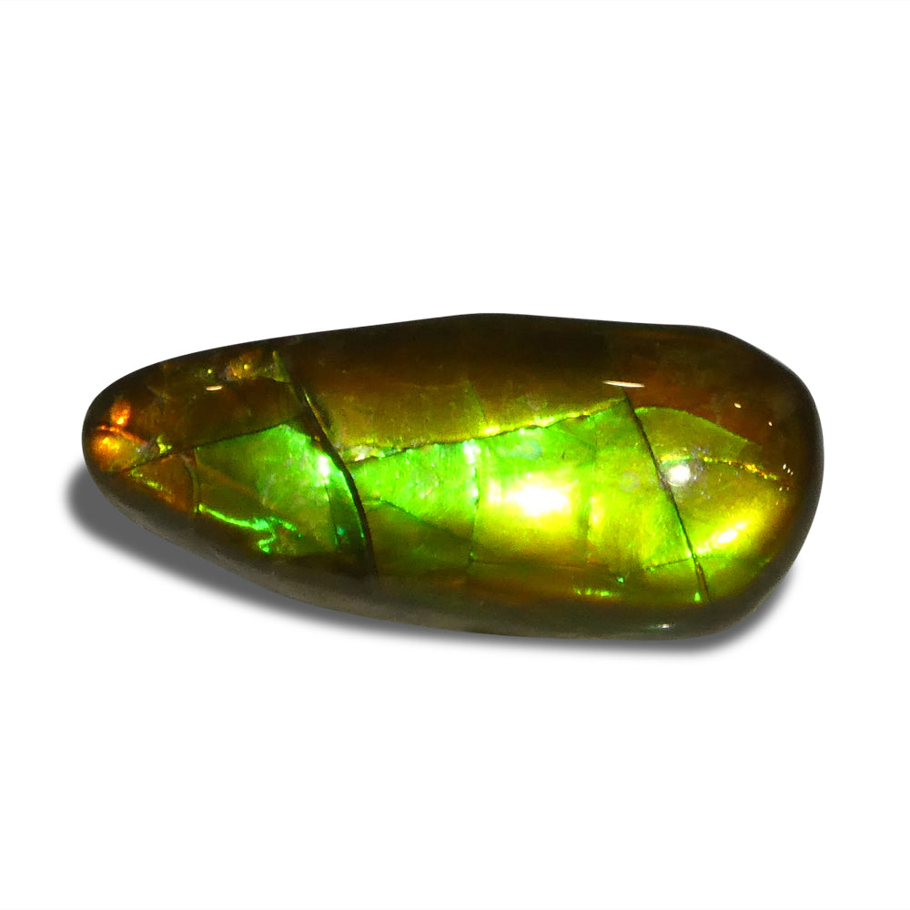 7.98ct Freeform AA 3 Color Orange, Yellow, Green Ammolite from Alberta, Canada - Skyjems Wholesale Gemstones