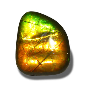 Ammolite 20.95 cts 24.07 x 20.43 x 4.82 Freeform Orange, Yellow, Green  $400