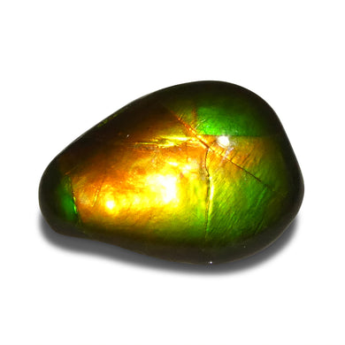 Ammolite 8.09 cts 21.56 x 15.18 x 3.78 Freeform Orange, Yellow, Green  $300