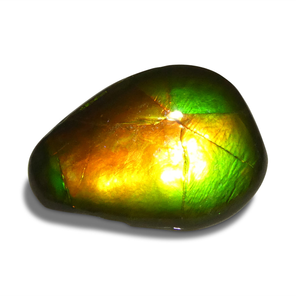 8.09ct Freeform AA 3 Color Orange, Yellow, Green Ammolite from Alberta, Canada - Skyjems Wholesale Gemstones