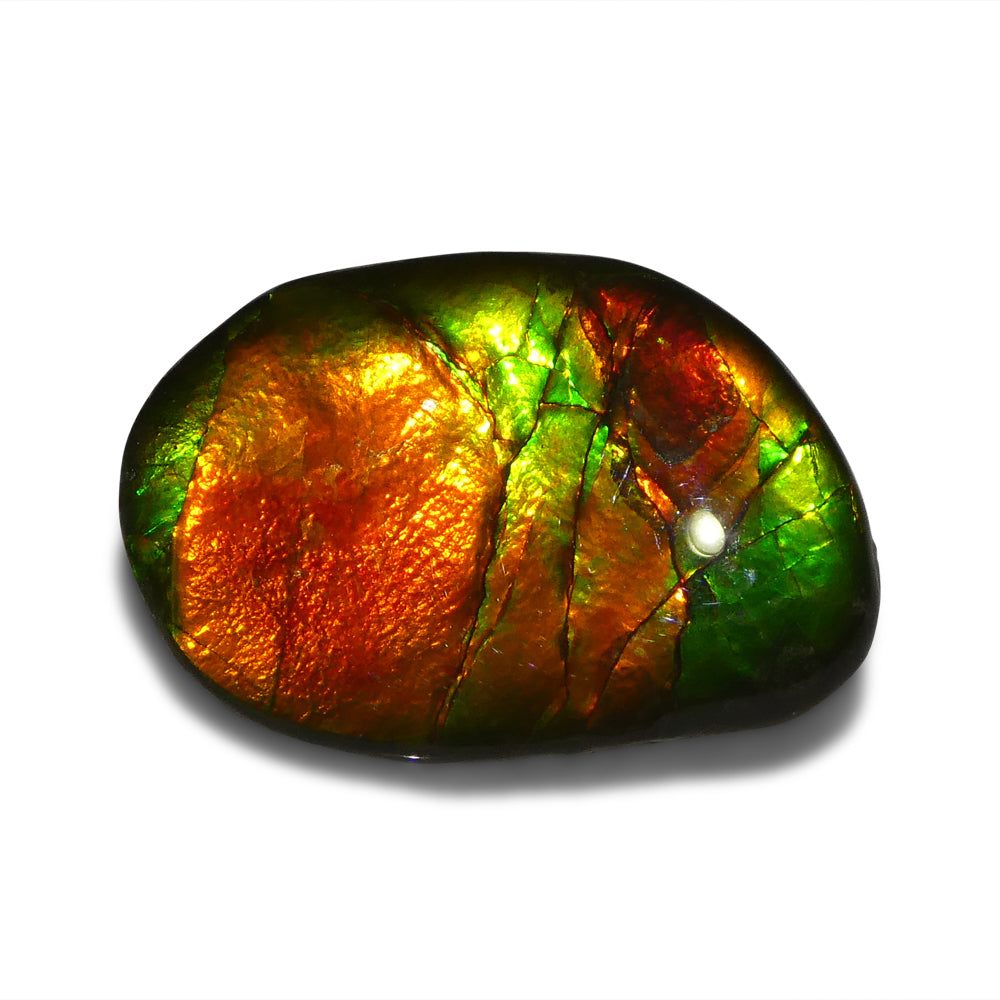 10.35ct Freeform AA 3 Color Red, Yellow, Green Ammolite from Alberta, Canada
