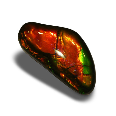 9.41ct Freeform AA 3 Color Red, Orange, Green Ammolite from Alberta, Canada