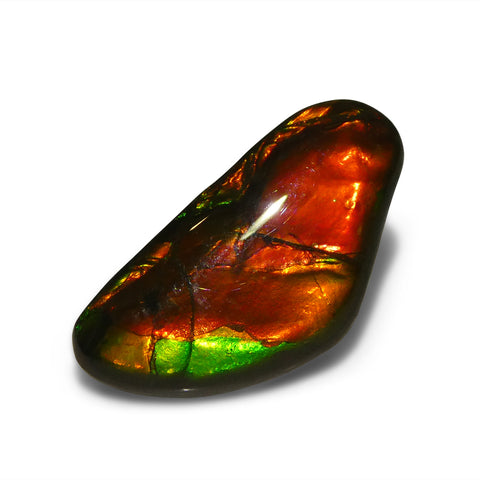 9.41ct Freeform AA 3 Color Red, Orange, Green Ammolite from Alberta, Canada