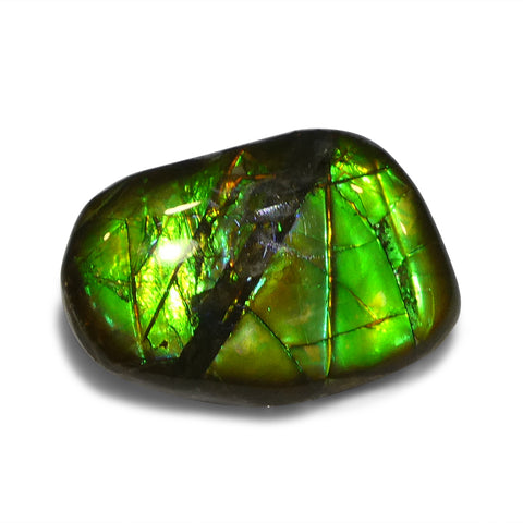 13.72ct Freeform A+ 3 Color Green, Orange. and Blue Ammolite from Alberta, Canada