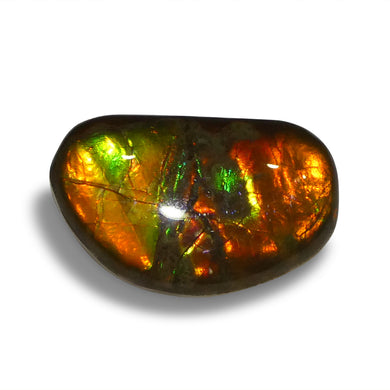 8.73ct Freeform A+ 3 Color Red, Orange, Green Ammolite from Alberta, Canada - Skyjems Wholesale Gemstones