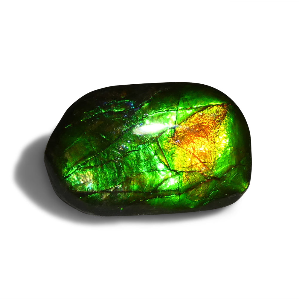 Ammolite 9.25 cts 23.31 x 14.75 x 3.51 Freeform Green, Orange, Blue  $175