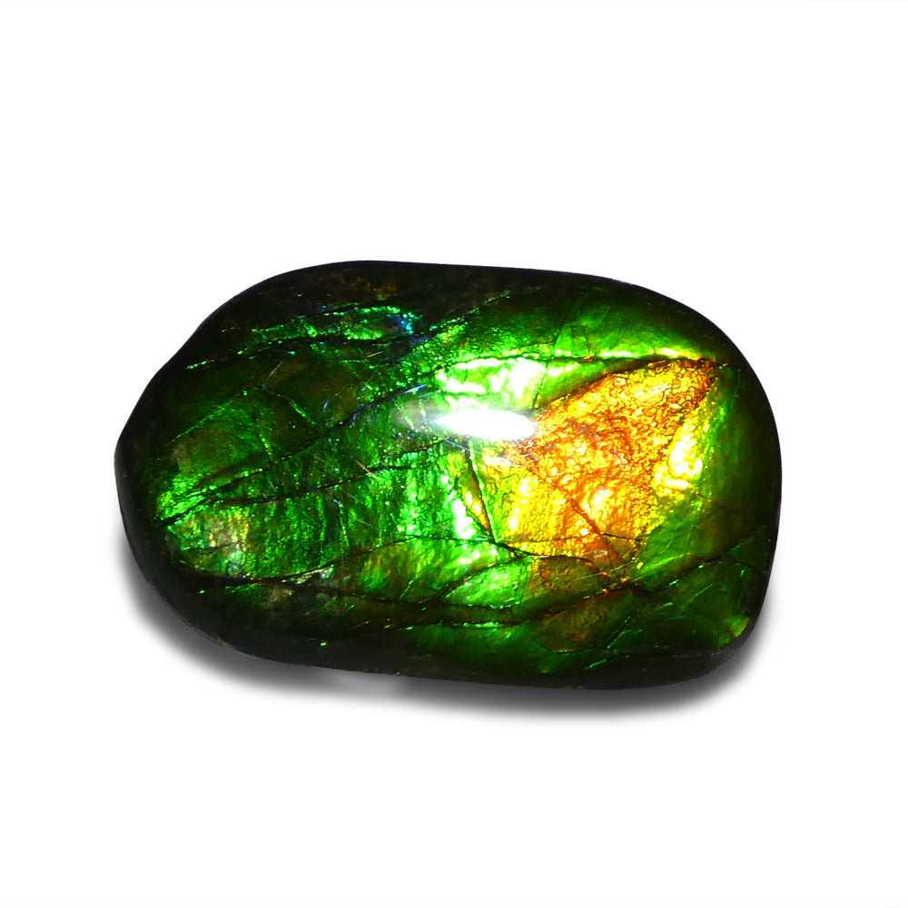 9.25ct Freeform A+ 3 Color Green, Orange, Blue Ammolite from Alberta, Canada - Skyjems Wholesale Gemstones